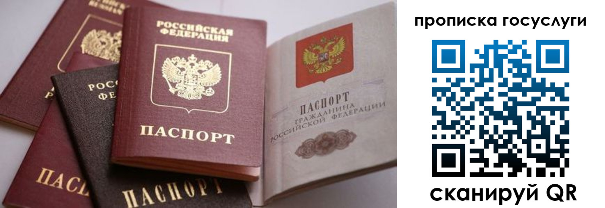 прописка иностранных граждан в Нытве